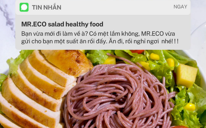 Mr Eco Salad Healthy 